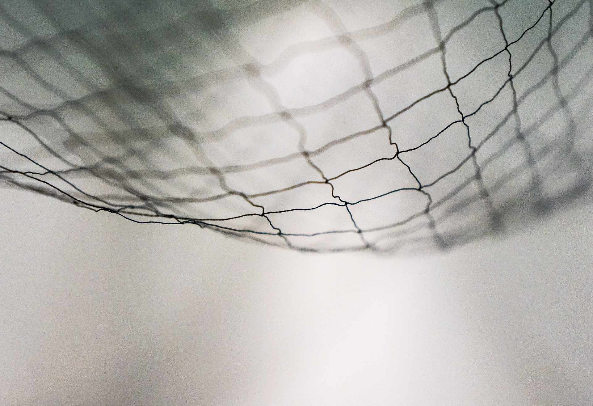 Empty net